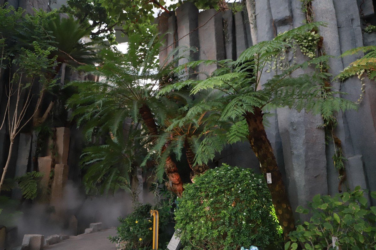 沙生植物区